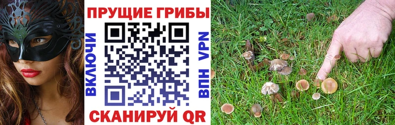 что такое   Хилок  Галлюциногенные грибы ЛСД 
